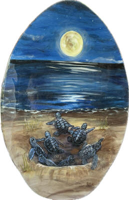 Hatchlings Skimboard