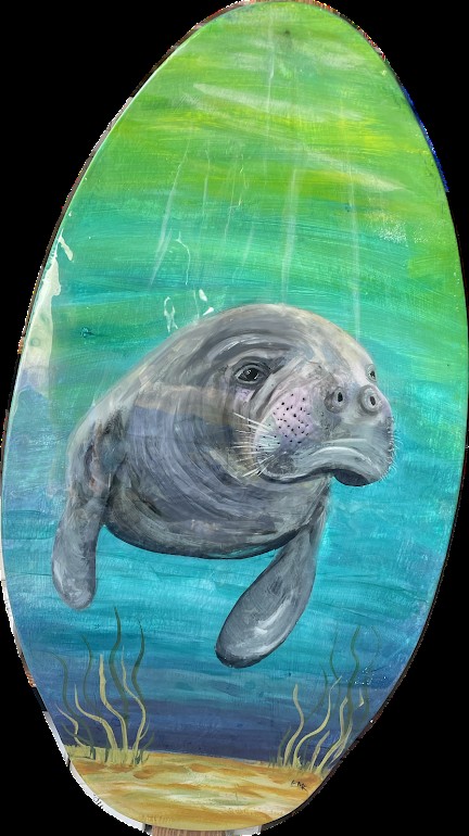 Manatee Skimboard