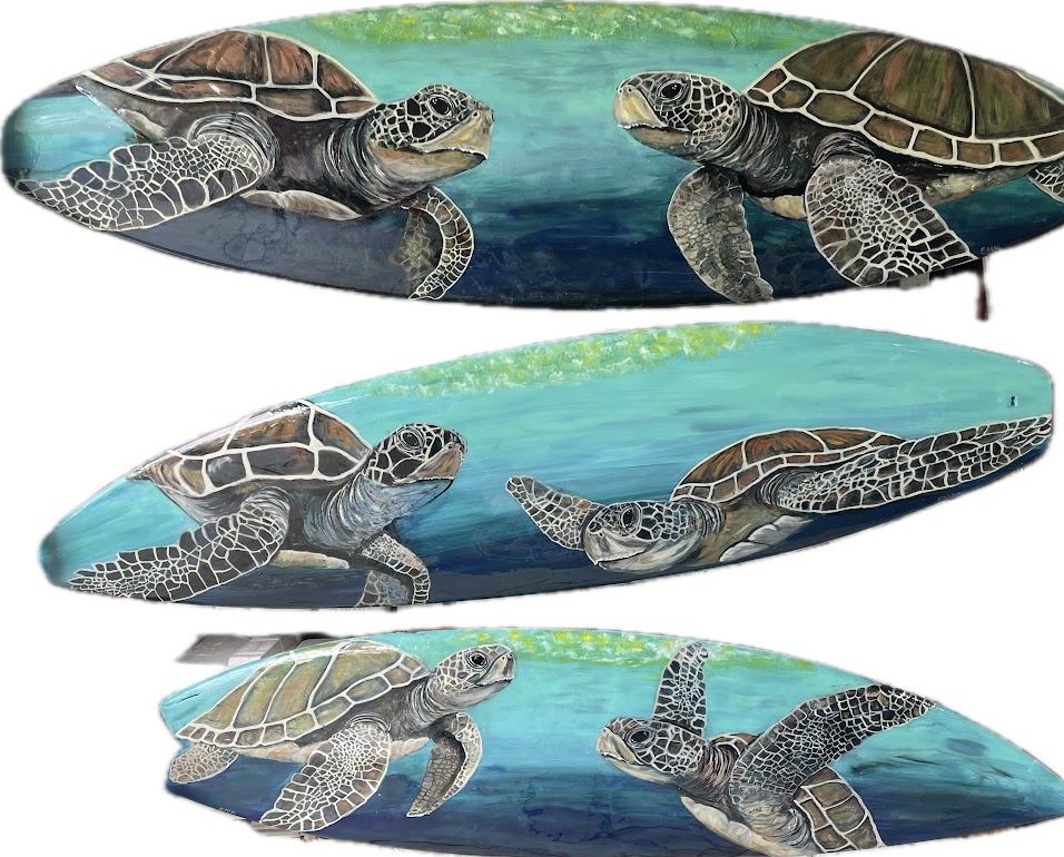 Turtle Duo Surfboards