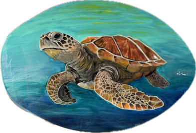 Turtle Skimboard d