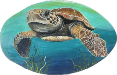 Turtle Skimboard E